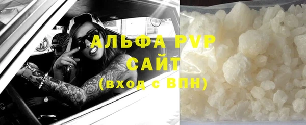 ECSTASY Богородицк