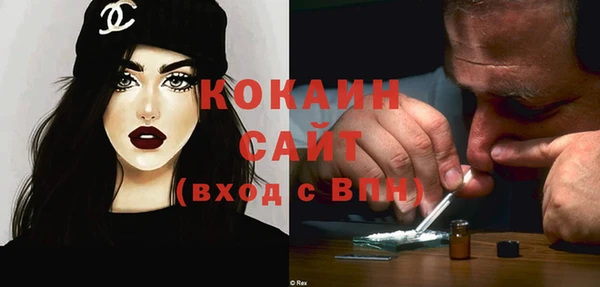 ECSTASY Богородицк
