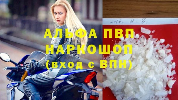 ECSTASY Богородицк