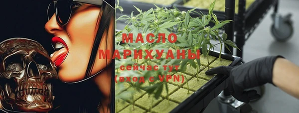 ECSTASY Богородицк