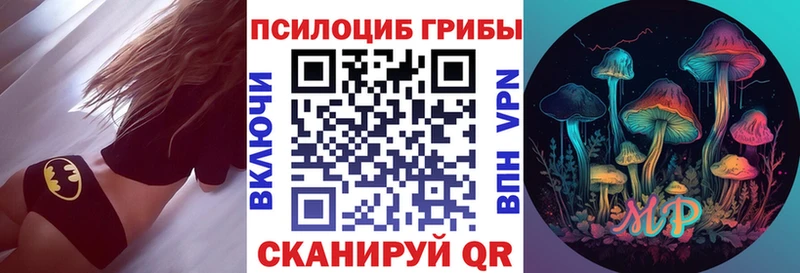 даркнет сайт  Дмитровск  Псилоцибиновые грибы прущие грибы 