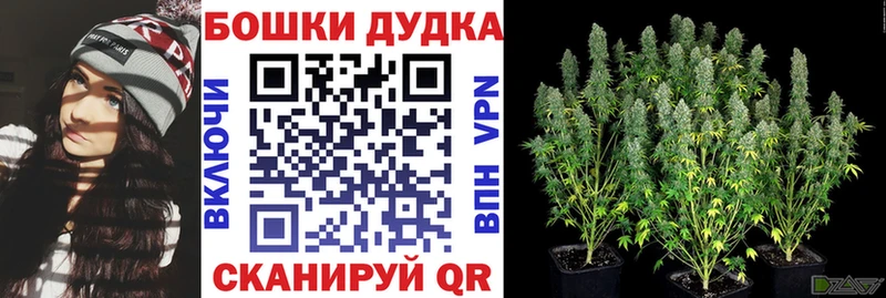 Марихуана White Widow  Дмитровск 